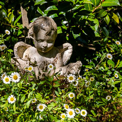In the garden at Strawberry Patch. [5861]