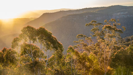 Special light over the Megalong Valley, as the sun dips behind the mountain. [5490]