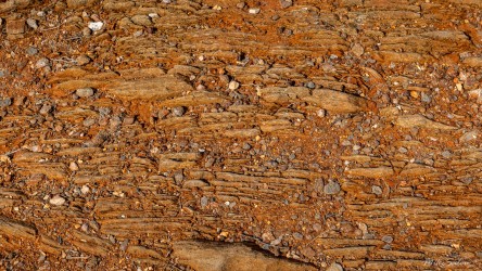 The texture of the walking surface up the hill in the Cultural Walk Trail. [2720]