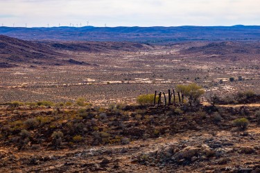 View of the Living Desert, complete with modern Story Poles from the students of the Broken Hill Art School. [2747]
