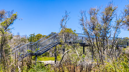 This bridge has been build to allow visitors to inspect the rock engravings at Gibbon Head., and protect them from our damned shoes. [6475]