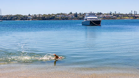 This swimmer getting his daily exercise but cling close to the shore along Jibbon Beach. [6480]