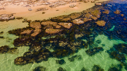 The very pretty patterns and colours of the intertidal zone at Bundeena. [0137]