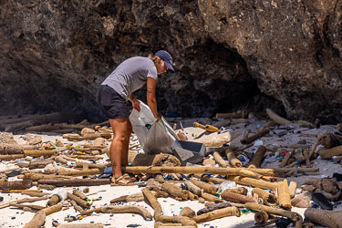 Jazz doing her bit to clean up the flotsam on Greta Beach. [9925]