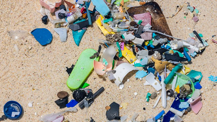 A colorful, tragic mosaic at Greta Beach. These fragments have traveled thousands of miles on the Indian Ocean currents only to be trapped by the island's limestone claws.