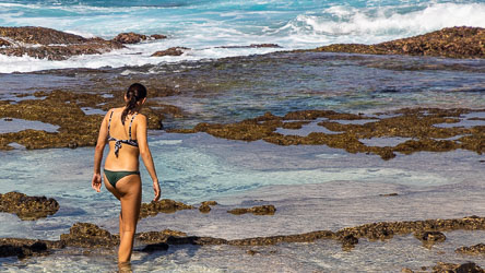 With careful footsteps, it's possible to walk out on the rock platform at Dolly Beach. [9969]