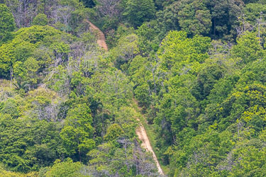 The Margaret Knoll Lookout is high above the treetops, but we didn't see any Abbott's Boobies on two visits here. You can see the track to Greta Beach. [0001]