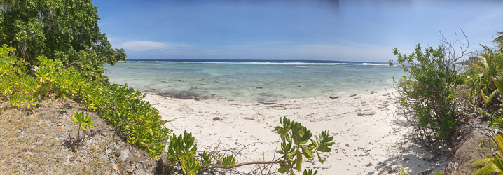 With all day to kill at the airport, we found this beach just over the road. [5559]
