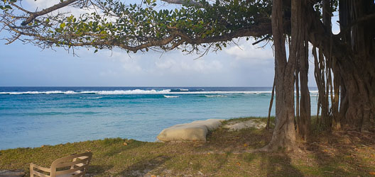What little we saw of Cocos revealed how pretty it is, but given its remotness, it's unlikely we'll ever be back here. This view is looking west out to sea.[1952]