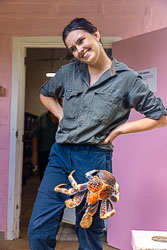 At the Reptile Captive Breeding Centre, this staff member was "captured" by a Robber Crab. It would not let go. The only way she could escape was to take her pants off. [0196]