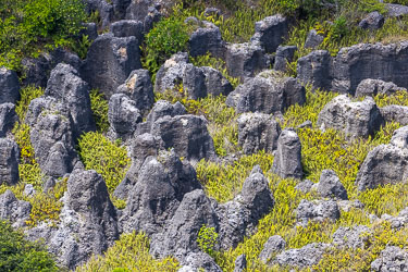Rugged pinnacles of limestone are the residues of manual phosphate mining. The bird dropping guano was between the pinnacles. [9793]