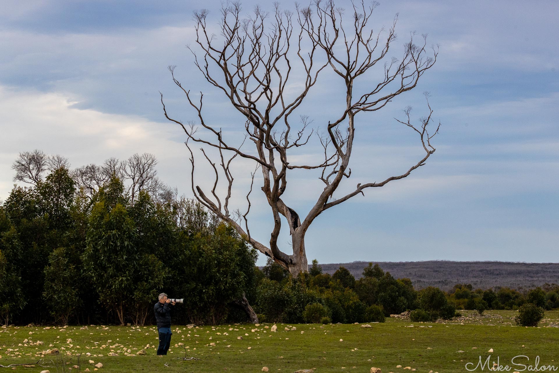 This photographer using a long lens to get closeups of the wildlife at Grassdale. [3944]