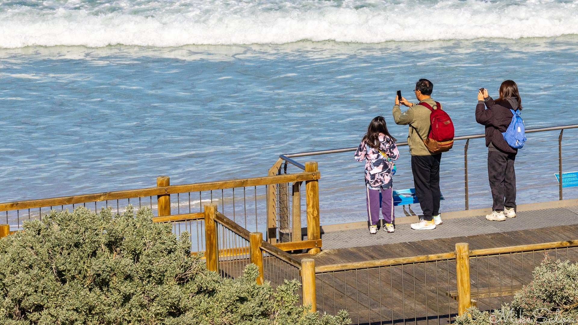 Visitors seeking to capture images of the Australian Sea-Lions at the Conservation Park. [3708]