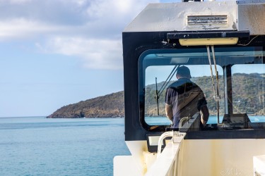 The SeaLink skipper guides  his ferry out of Hog Bay at Penneshaw. [4431]