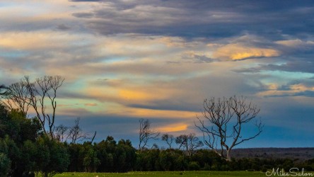 Getting darker in late afternoon now at Grassdale, highlighting a beautiful sky. [4064]