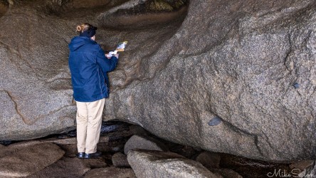 Wasting no time, our driver and naturalist guide Lynette prepares for tomorrow`s arrivals at SOH. [3490]