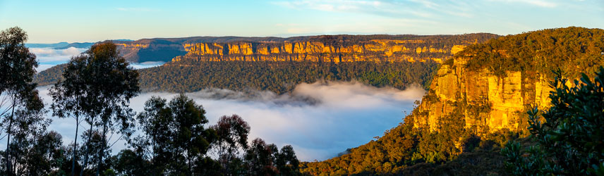 Nothing like the light at dawn and dusk! This panorama looks towards Ruined Castle, vaguely SE of Katoomba. [8759]