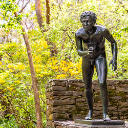 This unattributed statue, called `Runner` depicts a classical, nude male youth in a dynamic running pose. [6155]