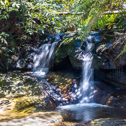 One of the falls at Leura Cascades. The picnic area is presently closed for maintenance, but its still possible to walk by here. [5751]