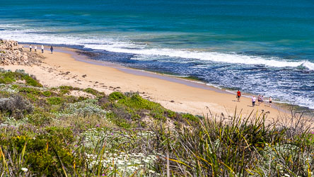 The Indian Ocean beach here at Halls Head, Mandurah, is beautiful but better for walking than swimming. [9606]