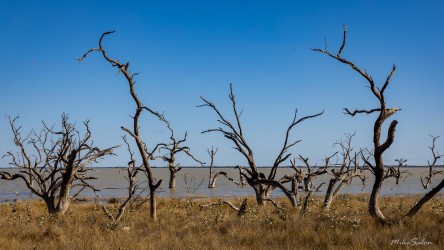 Another angle on the same story: beauty, loss and hydrology all tangled together. [2438]
