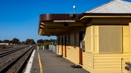 A very plain sight is Menindee railway station, but it is a stop on the once weekly passenger service from Sydney to Broken Hill. The line was completed in 1919. Trains carried water from Menindee Lakes to Broken Hill until 1960 when a pipeline was completed. Ironically, the last water train was derailed by flooding! [2456]