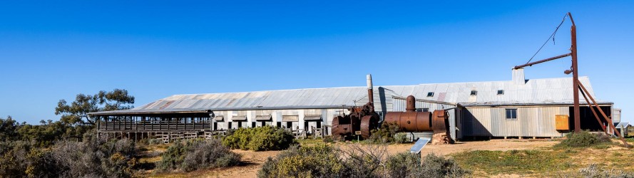 Now unused except as a museum, the Kinchega Woolshed sheared 6 million sheep in its day. The shed's long, low profile still dominates the landscape, as if waiting for the next mob of sheep that will never come. [2355]