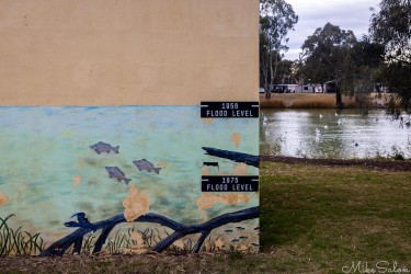 Mildura never forgets its floods. The 1956 flood originated with heavy rains far away in Western Queensland three months earlier, coming down the Darling River. This 2017 mural reminds the city and future generations of their worst ever flood.