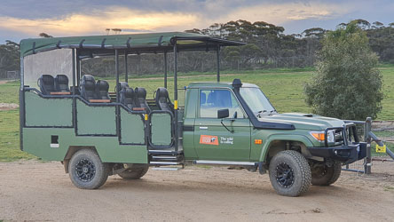 Wagon parked and ready to take us on a private sunset safari. [2433]