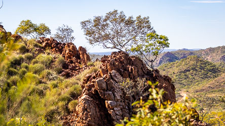 The rugged terrain of Telstra Hill. [7131]