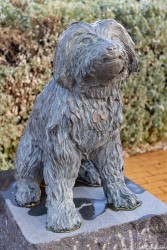 In 1883, Bob the Railway Dog took to travelling on trains with his owner from near Peterborough. He discovered he liked it, and ventured out on his own, going as far as Sydney and Melbourne. He was mourned by the railway community when he died in 1895 and commemorated in this statue by Silvio Apponyi. [3193]