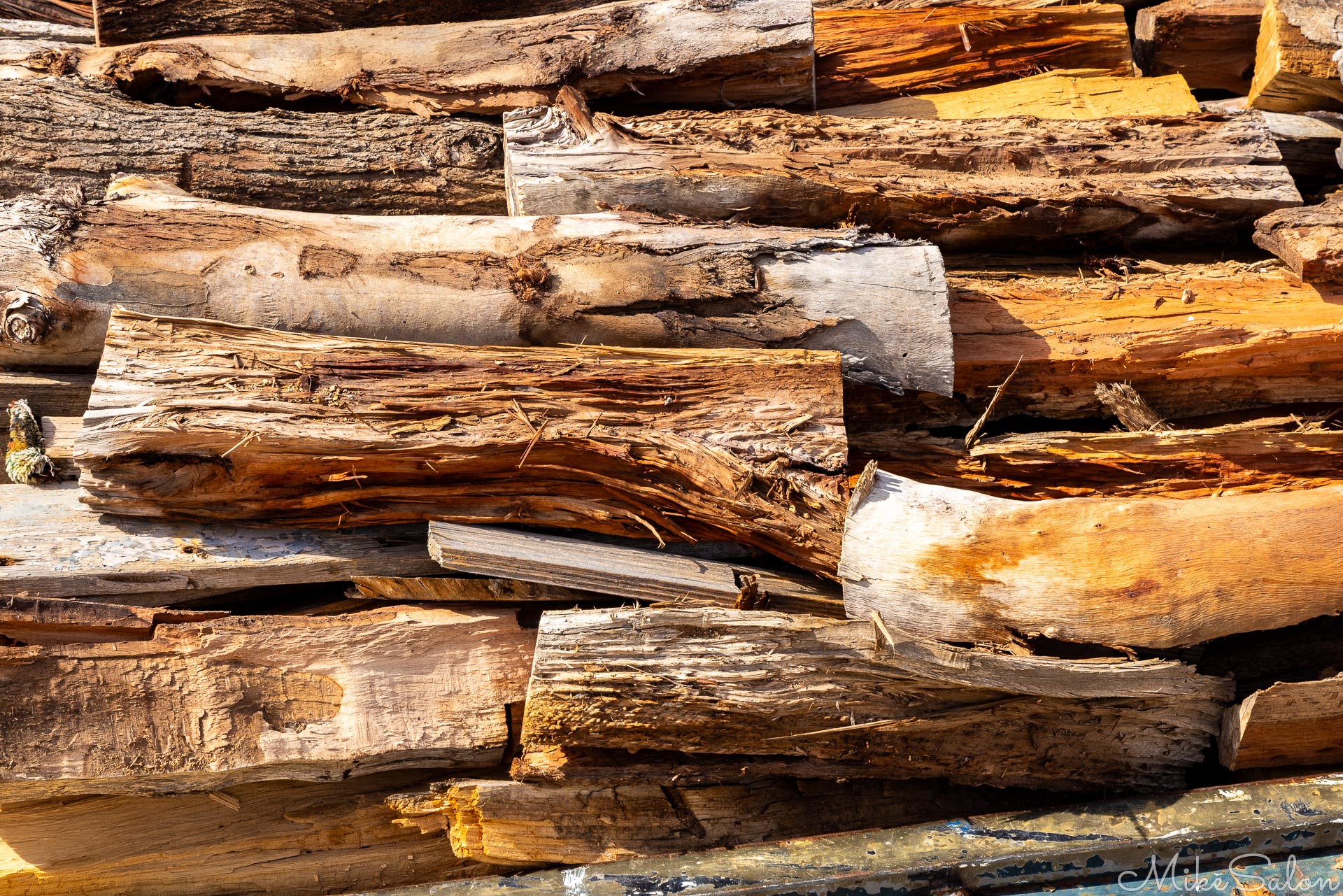 Firewood prepared for the PS Industry. [4632]