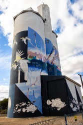 Spectacular Silo Art in Waikerie with the theme `Healthy River, Healthy Community`, by Jimmy Dvate and Garry Duncan. This mural celebrates the balance between people and nature — a reminder that a thriving river sustains a thriving town. [4622]