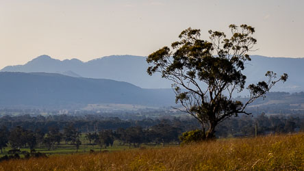 Hazy view across the Scone countryside towards the Liverpool Ranges. [5505]