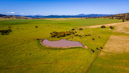 Perhaps it is not always this lush, but the rolling plains of the Upper Hunter Valley sure look good right now. [0089]
