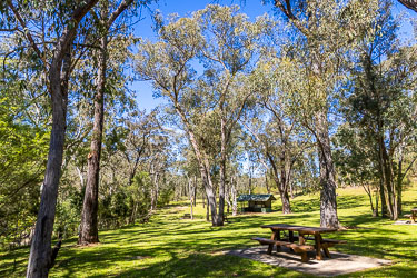 Beautiful trees, glorious sunshine and lovely Aussie birdsong at the Washpools picnic area beside Middle Brook. [5650]