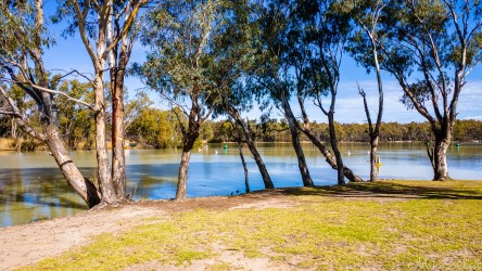 Where two great rivers meet — the muddy Darling merging with the clearer Murray in a timeless exchange of flow. [0039]