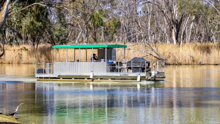 Modern leisure on ancient waterways — a pontoon boat cruising quietly through reeds and reflections. [4824]