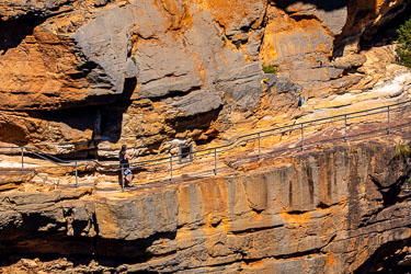 Taking selfies is important, as this man traverses a cliffside track near Wentworth Falls. [5989]
