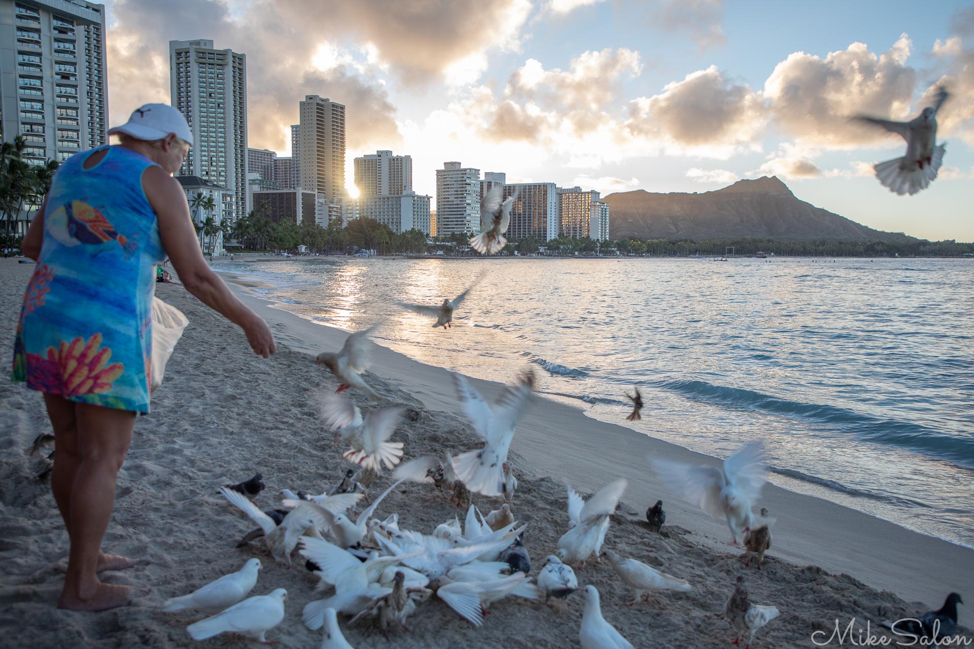 Dawn Feed for the Gulls at Waikiki : As the sun rises behind Diamond Head, lady feeding greedy seagulls in Honolulu. (0D0A4496.jpg)<br>Camera: Canon EOS 5D Mark IV