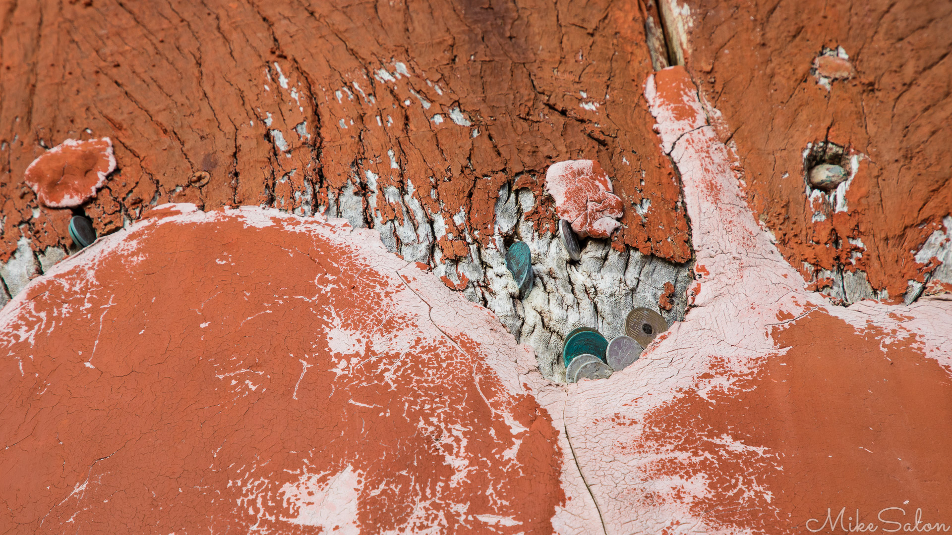 Quest for Good Luck : In the hope of wealth, health and happiness, believers leave small tributes on the torii gate at the Itsukushima Shrine on the Japanese island more commonly known as Miyajima. [7201] (0D0A7201.jpg)<br>Camera: Canon EOS 5D Mark IV
