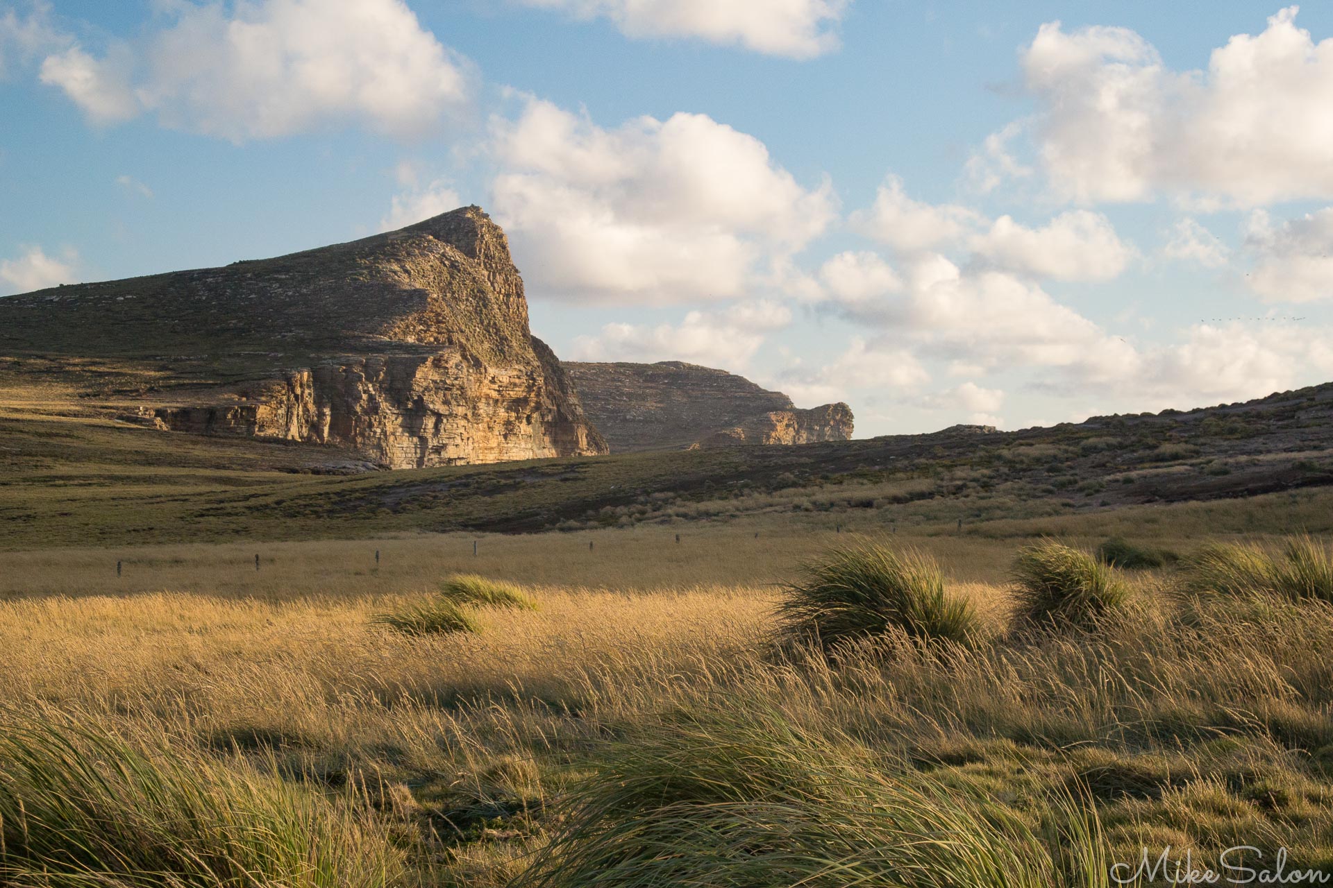 New Island, the Falklands : High cliffs on New Island, home to the very cute southern rockhopper penguins, a tiny museum and one or two residents. (DSC_1960.jpg)<br>Camera: NIKON 1 AW1