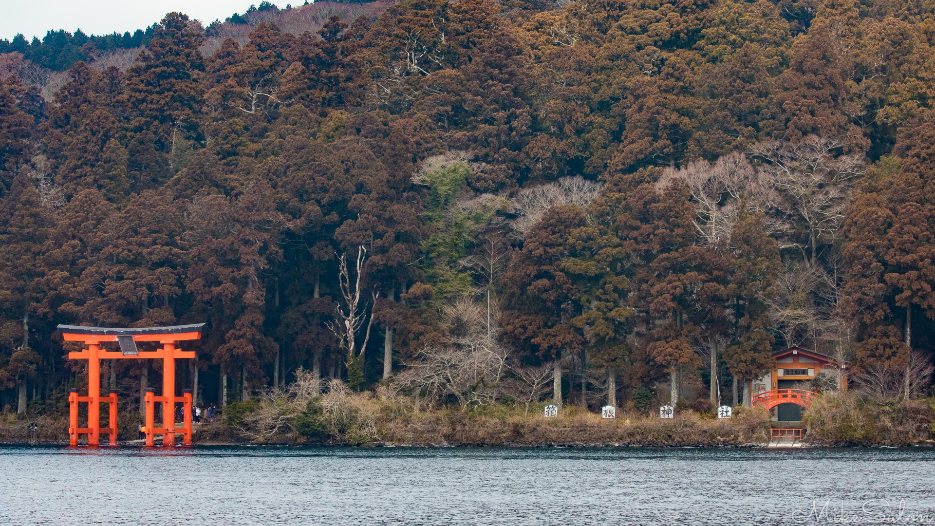 Hakone Shrine : This Shinto shrine by Lake Ashi near Mt Fuji was visted by travelling fuedal lords in the edo period. (0D0A0871.jpg)<br>Camera: Canon EOS 5D Mark IV