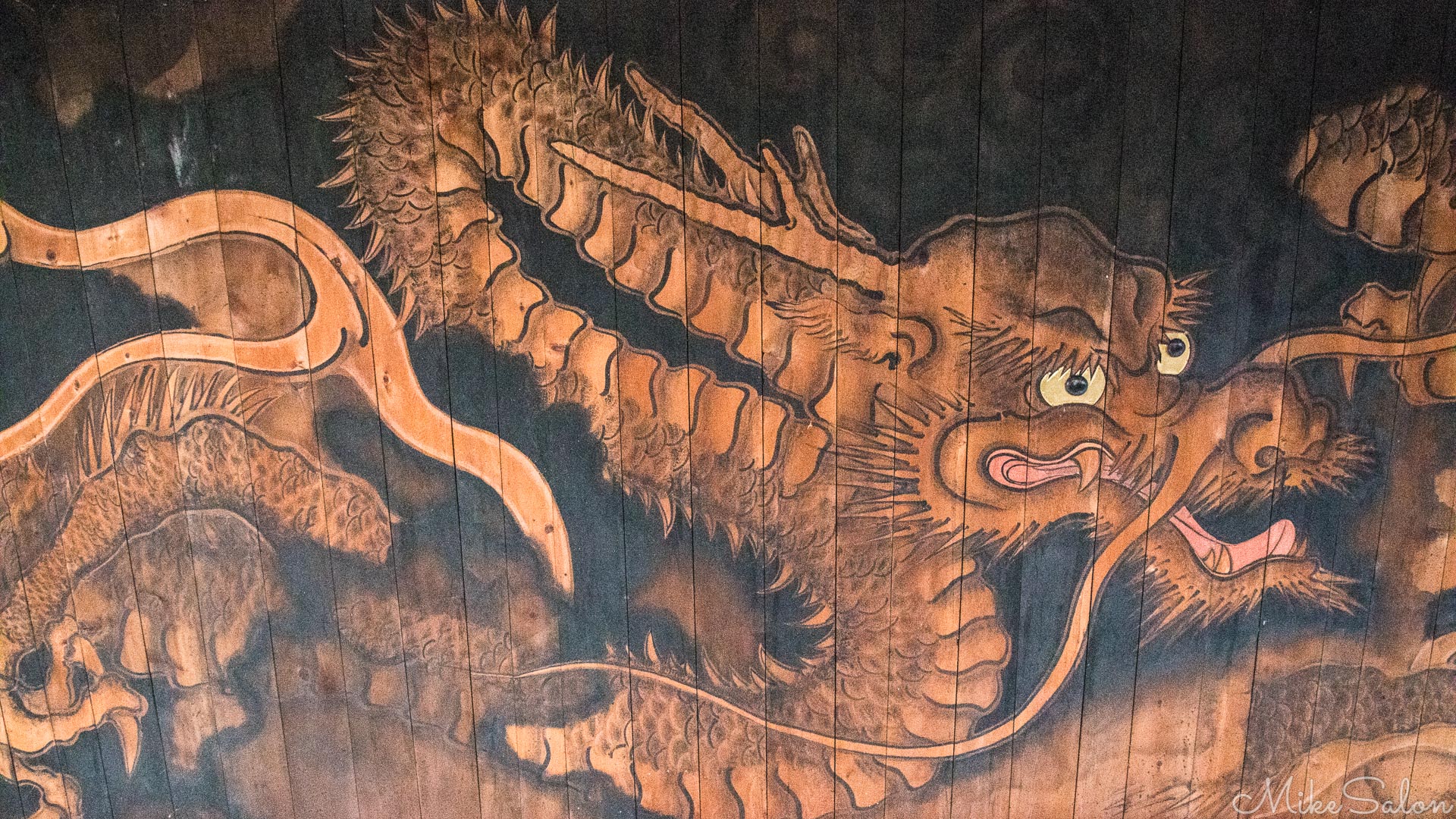 Narai Temple Ceiling : Famous painted ceiling dragon in the shrine at Taiho-ji Temple. (0D0A6465.jpg)<br>Camera: Canon EOS 5D Mark IV