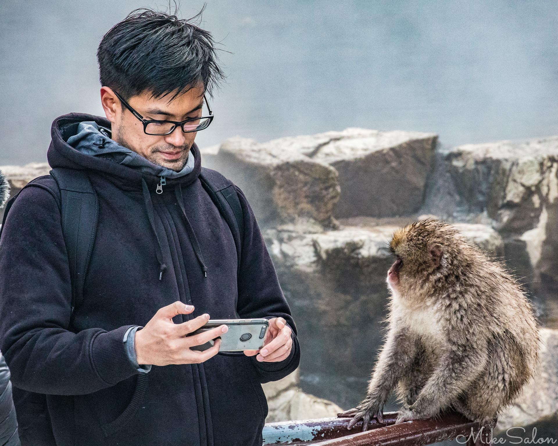 Snow Monkey Selfie : Snow monkey waits paitiently to see his photo. (0D0A6549.jpg)<br>Camera: Canon EOS 5D Mark IV