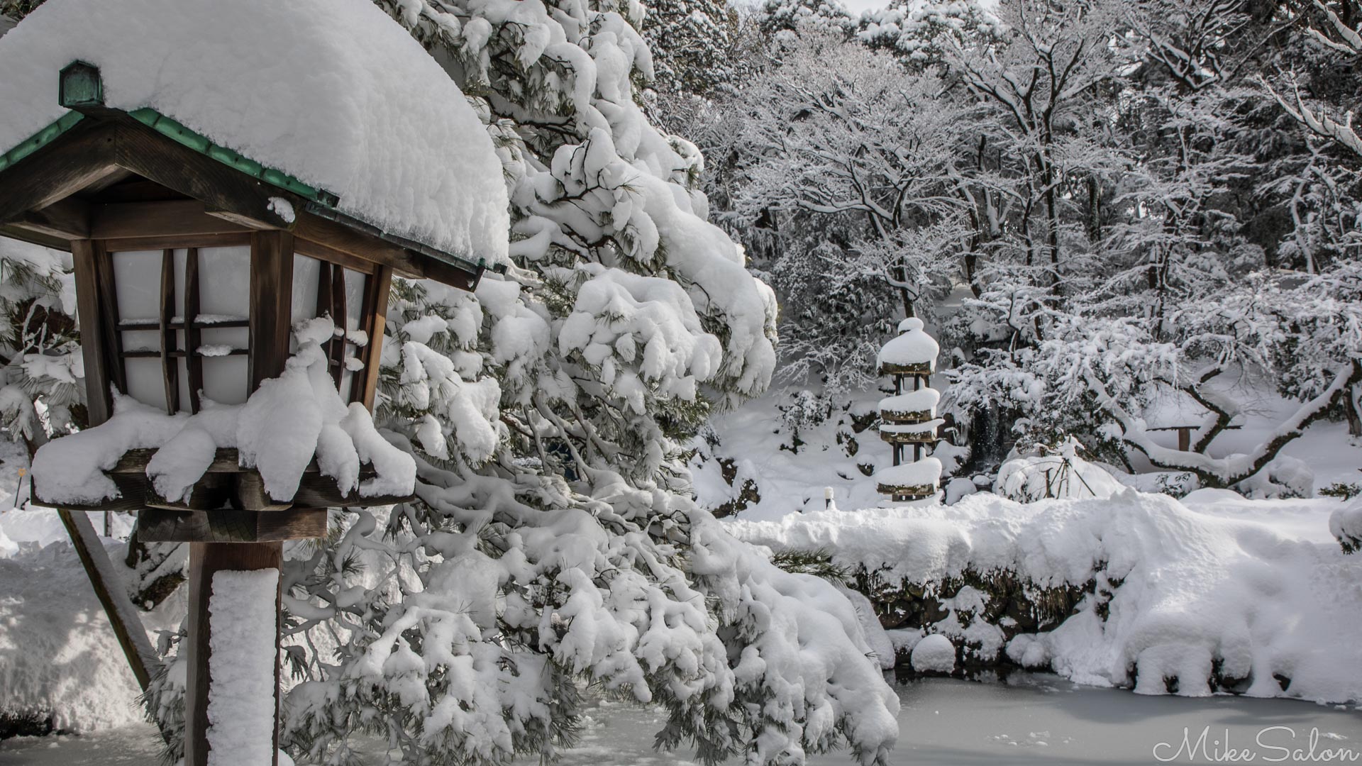 Kanazawa Garden : Snowbound in Kenroku-en Garden. (0D0A6838.jpg)<br>Camera: Canon EOS 5D Mark IV