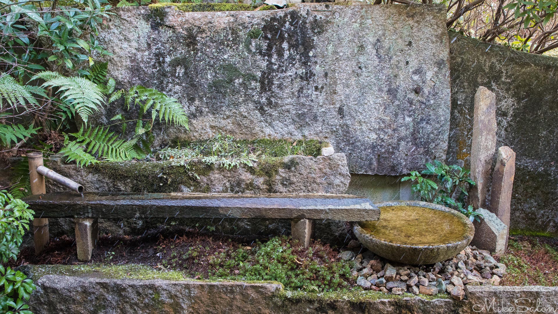 Kyoto's Philiosphers Walk : Just another exquisite water feature - great use of tiny spaces! (0D0A7972.jpg)<br>Camera: Canon EOS 5D Mark IV
