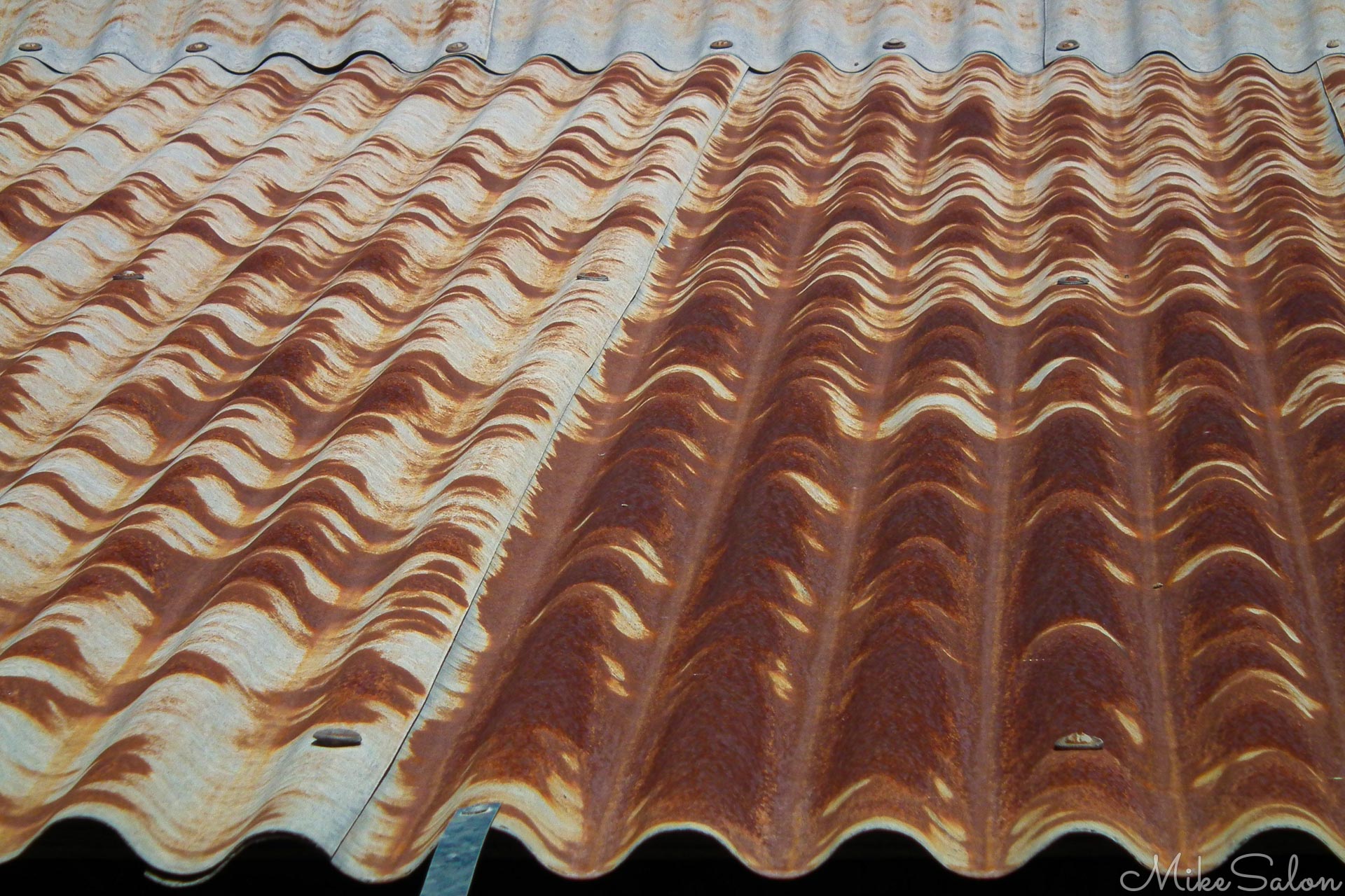 Detail : Rusty corrugated steel roof (DSCF0168.jpg)